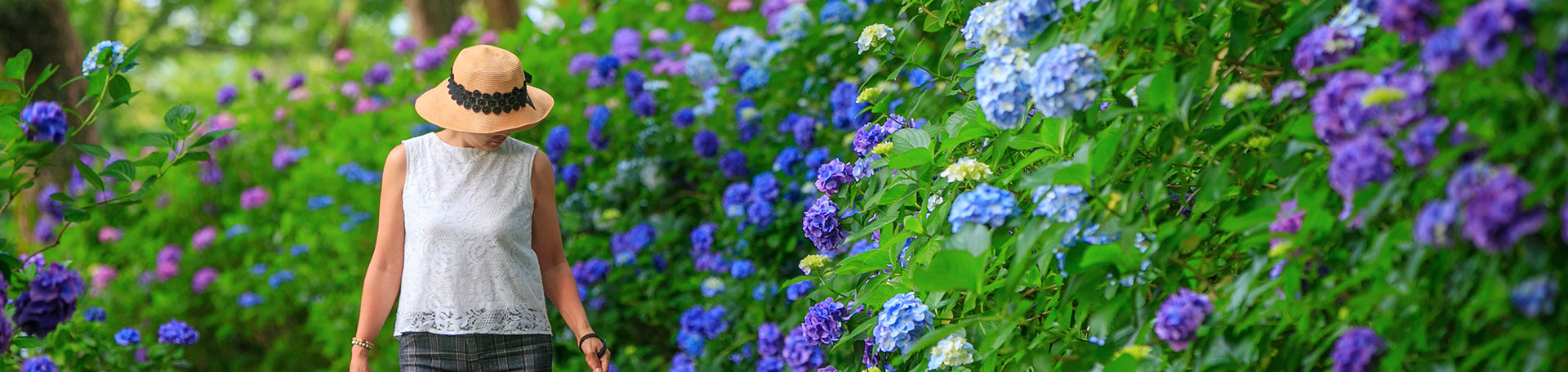 イメージ:伊豆白浜